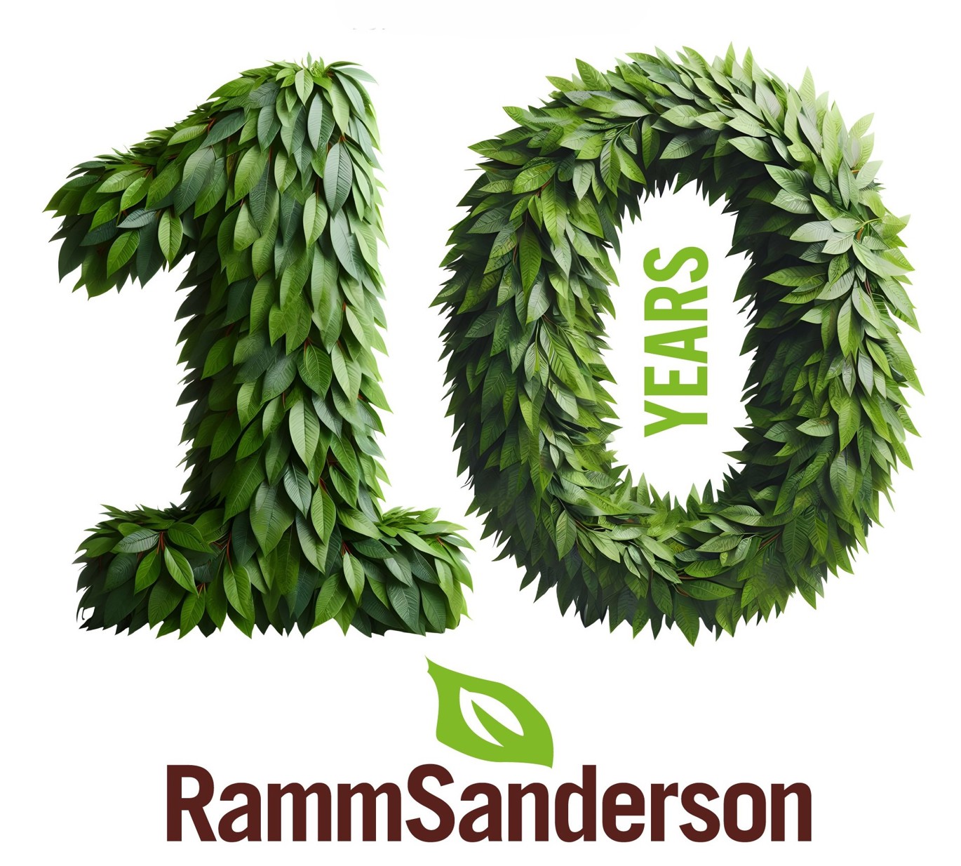 RammSanderson Celebrates 10 Years