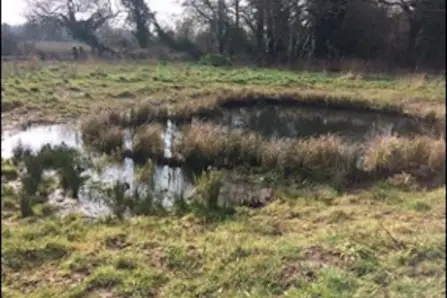 Creation of new ponds Creation of new ponds