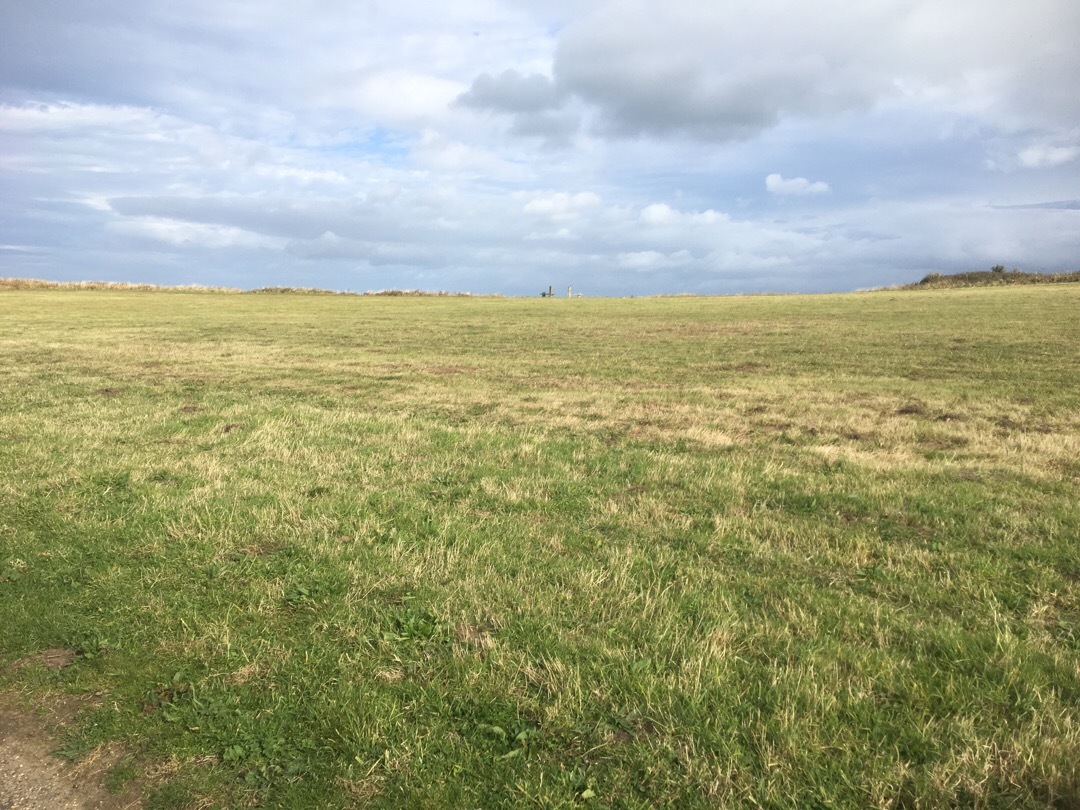 Identifying the major habitats on and adjacent to the site
