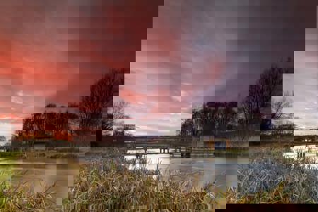 Ecology surveys Ecology surveys