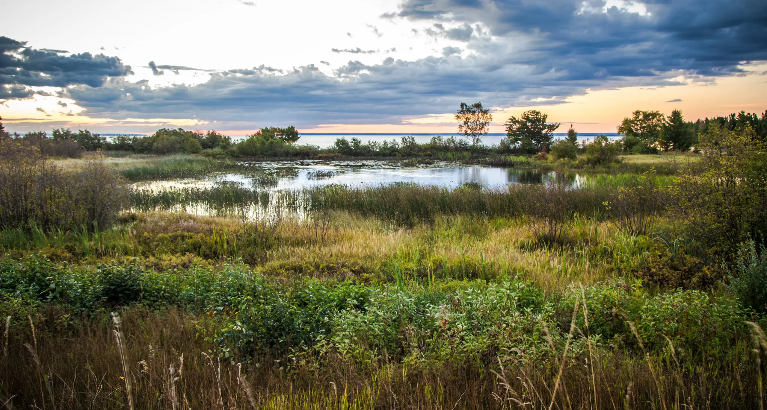 Habitat Regulation Assessment Habitat Regulation Assessment