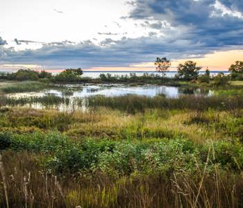 Habitat Regulation Assessment