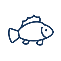 Fish Icon Fish Icon