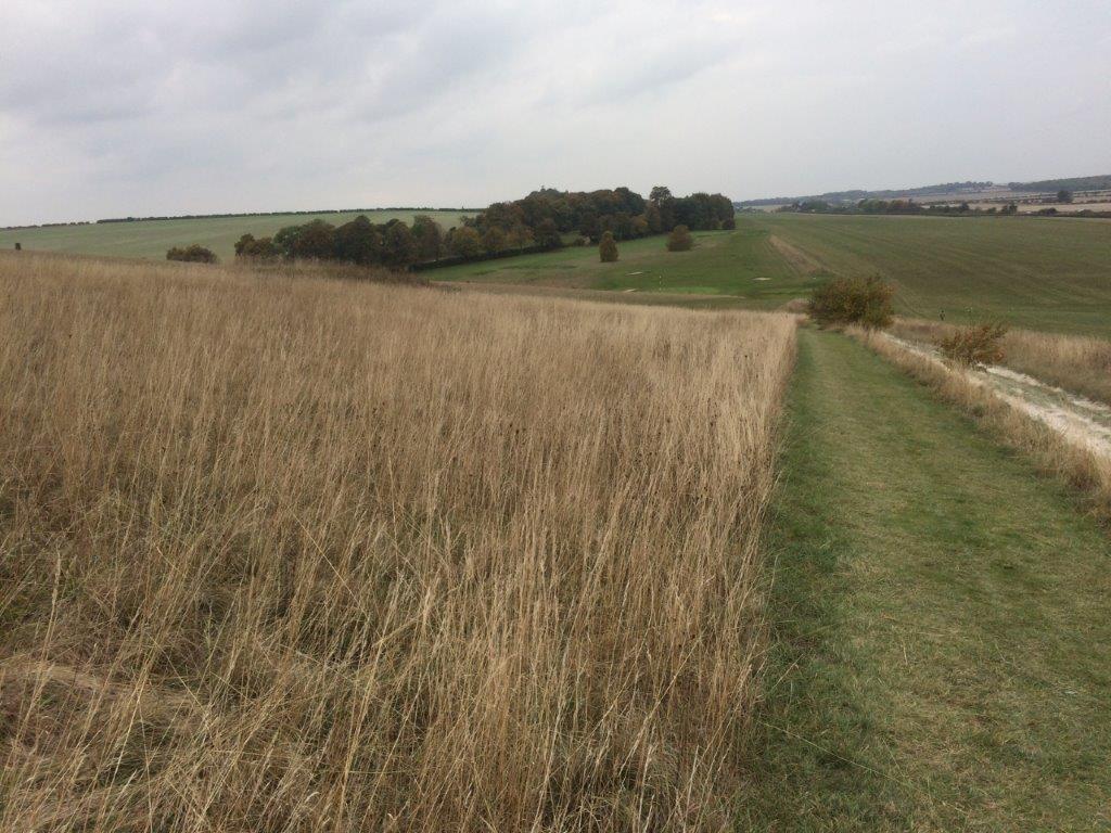 Mitigation plans supporting planning applications