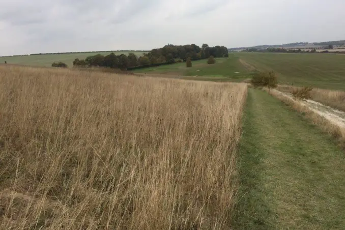 Mitigation plans supporting planning applications Mitigation plans supporting planning applications