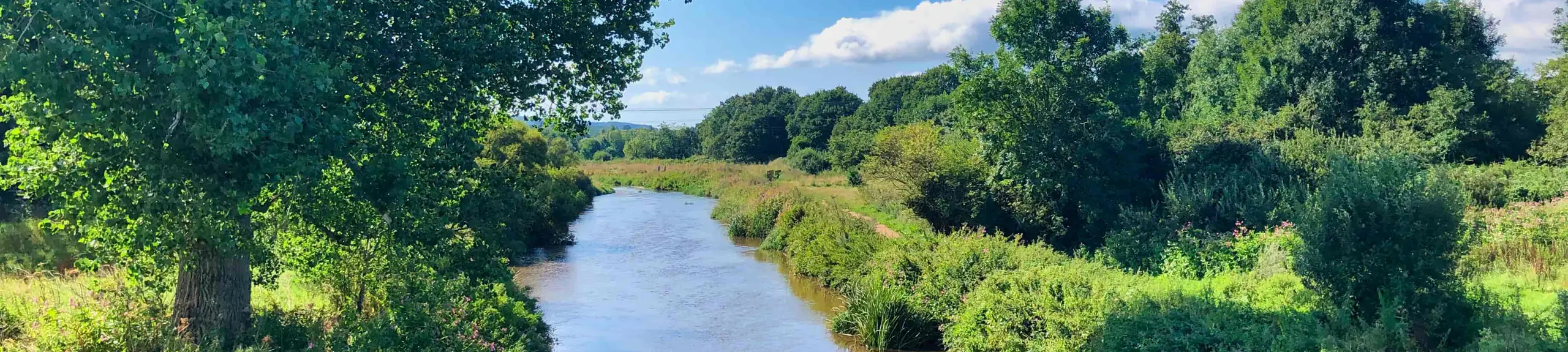 River survey River survey