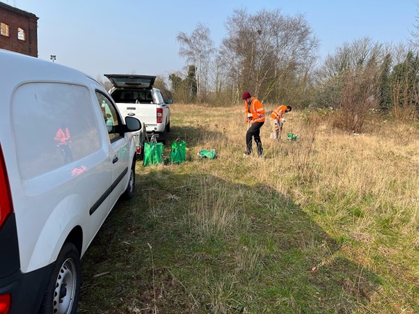 Broomrape Translocation