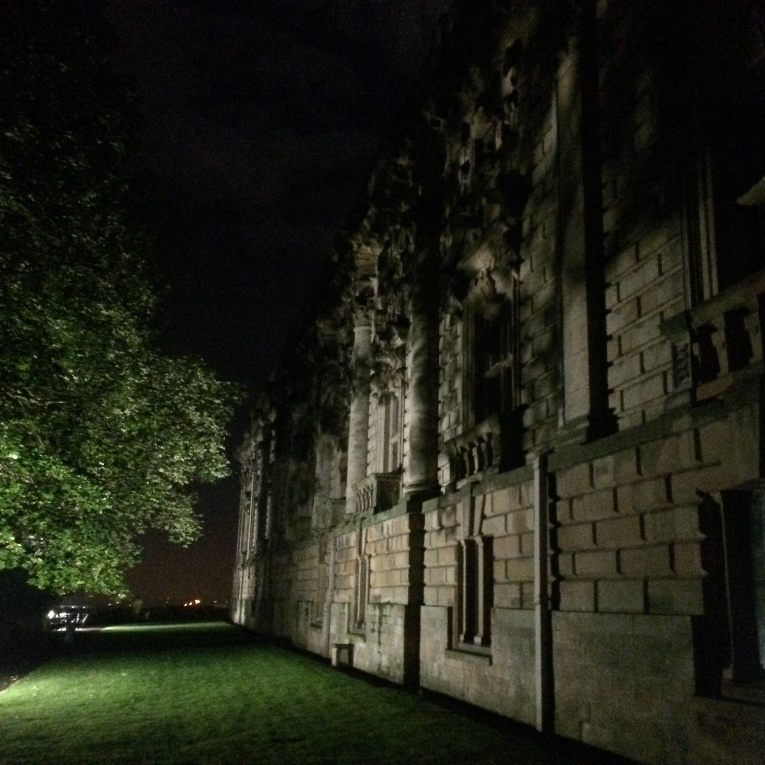 Nocturnal bat survey