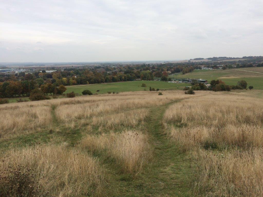 SSSI (Site of Special Scientific Interest) Impact Assessment 