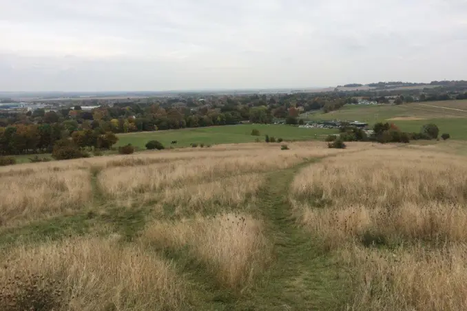 SSSI (Site of Special Scientific Interest) Impact Assessment  SSSI (Site of Special Scientific Interest) Impact Assessment