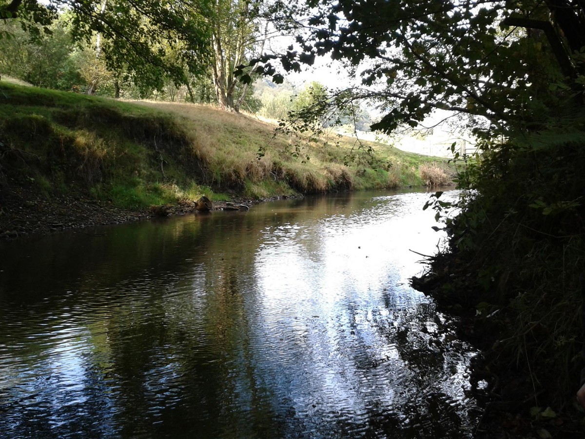 Environmental survey work