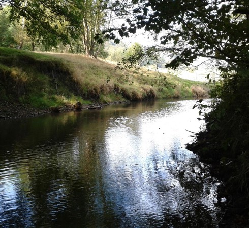 Environmental survey work