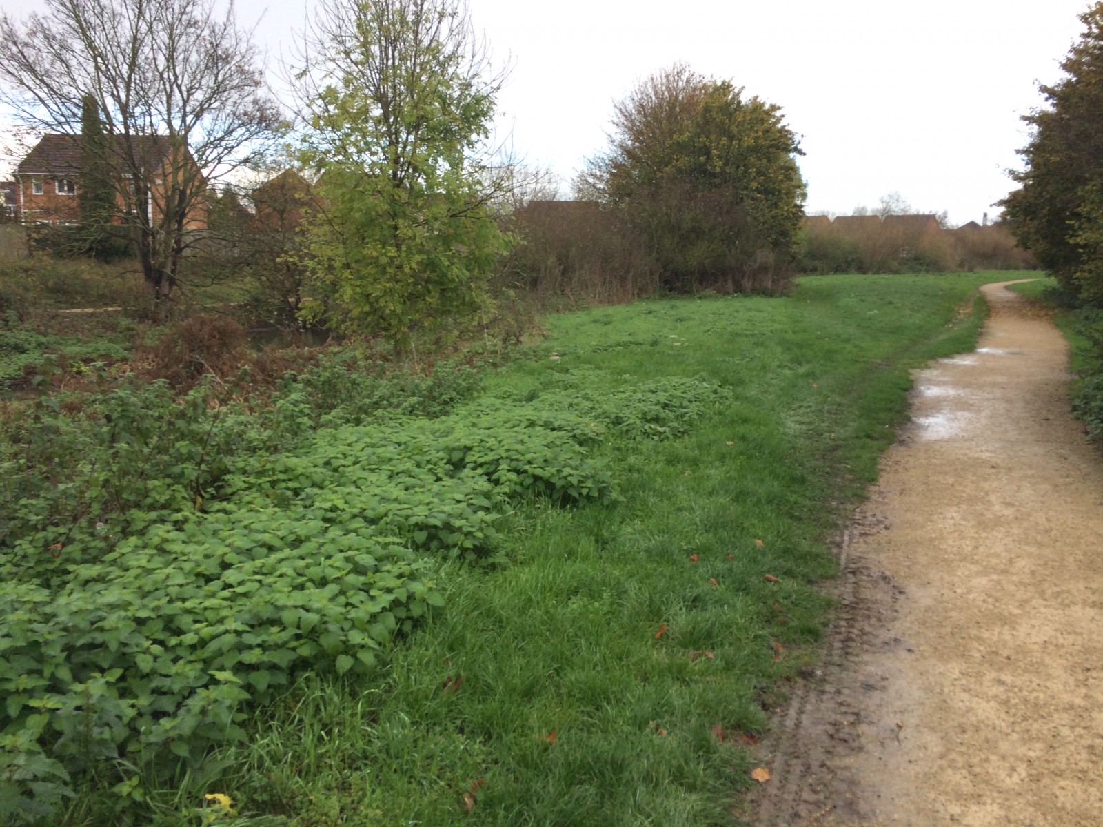 Feasibility study for flood risk