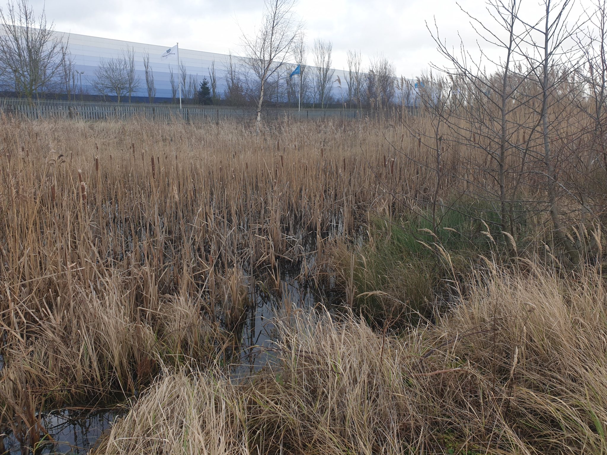 Working under licence from Natural England