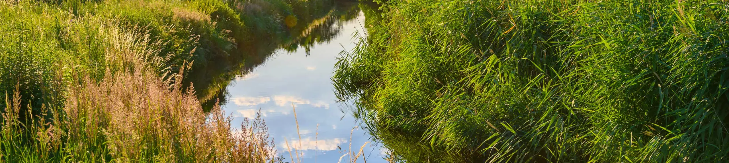 MORPH River Survey MORPH River Survey