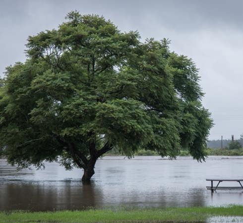 Strategic Flood Risk Assessments