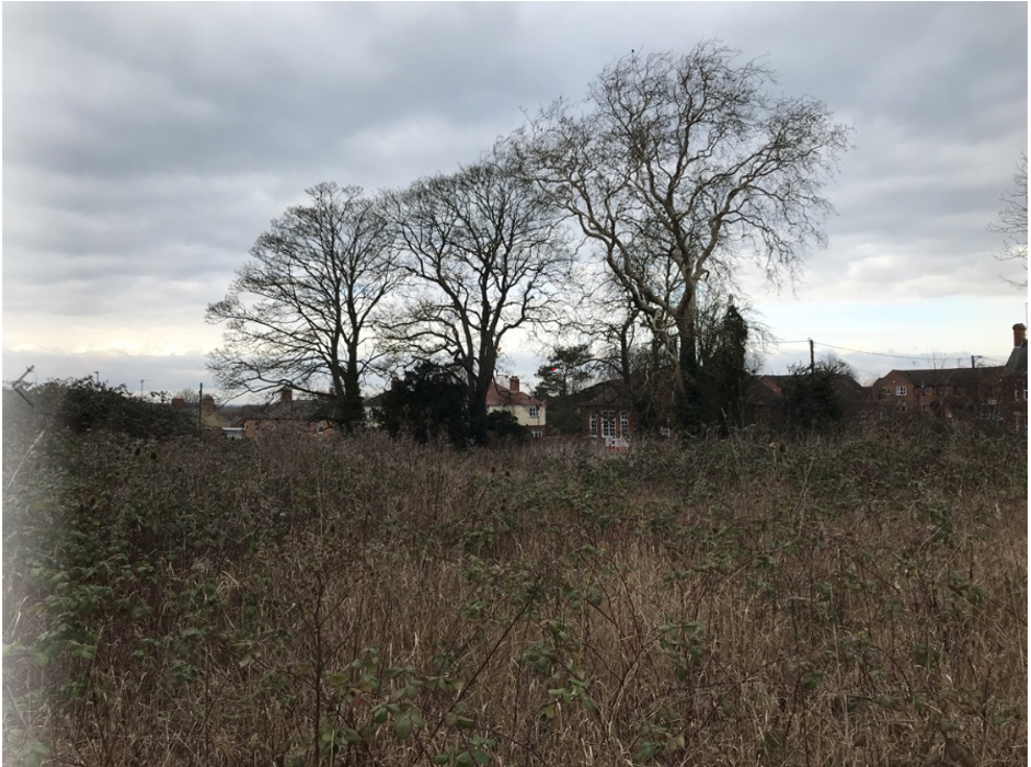 Preliminary Ecological Appraisal in Thrapston