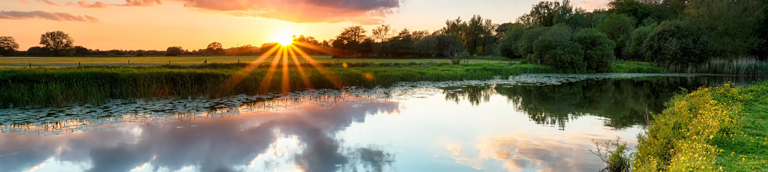 Aquatic Ecology Aquatic Ecology