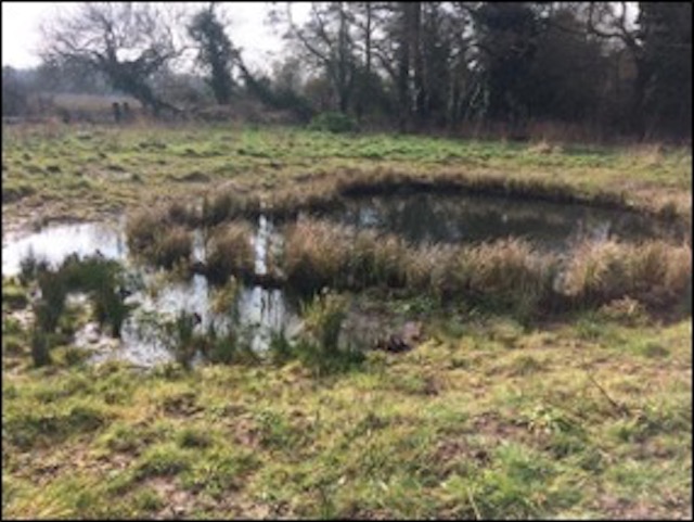 Creation of new ponds