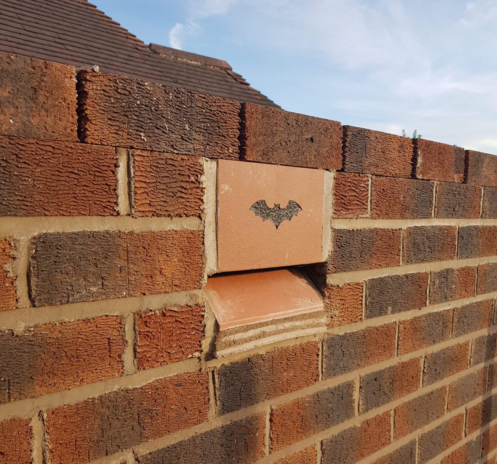Bat box in extension brick wall