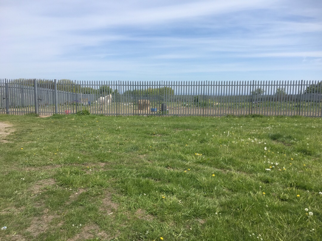 Recommending the implementation of additional native planting